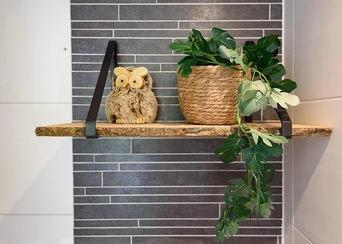 Op Rustig Park Op De Veluwe