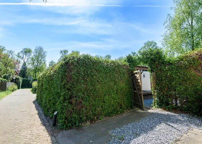 Op Rustig Park Op De Veluwe