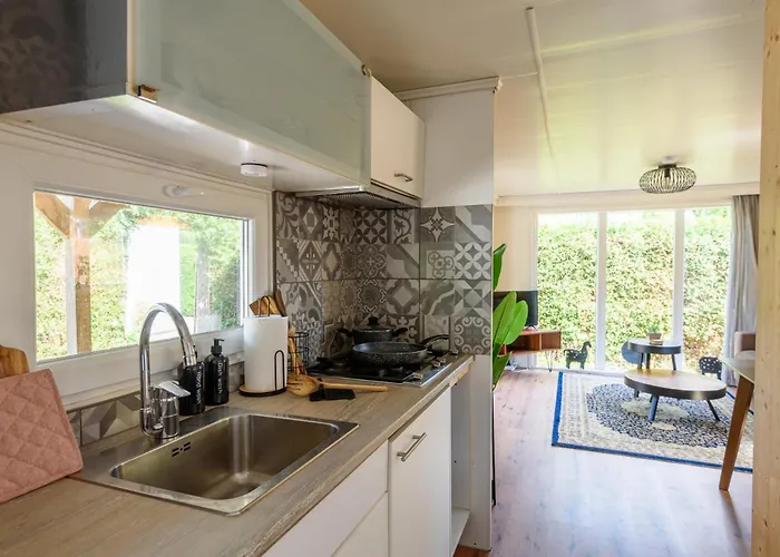 Op Rustig Park Op De Veluwe