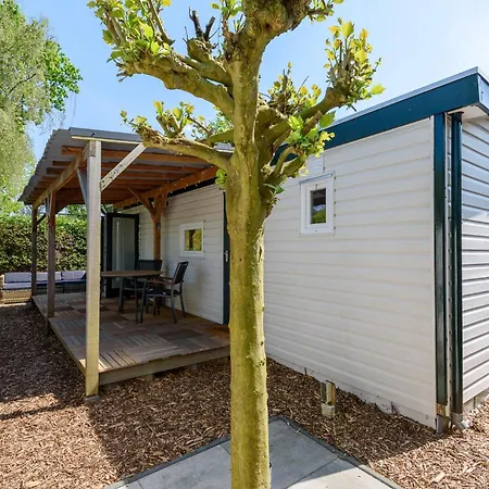 Op Rustig Park Op De Veluwe